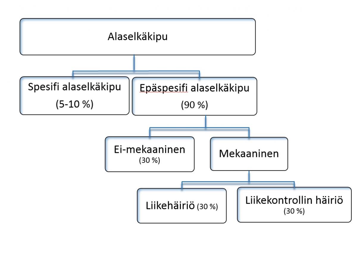 Alaselkäkivun luokittelu O'Sullivan