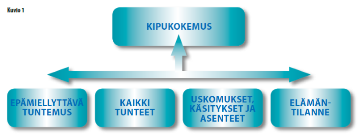 Kuvio 1, kipukokemuksen syntymiseen vaikuttavat tekijät.