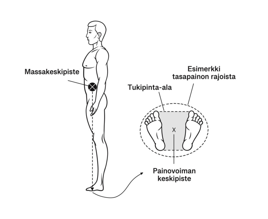 Piirroskuva ihmisen massakeskipisteestä.